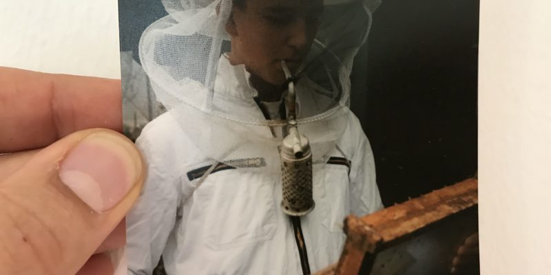 The bee house